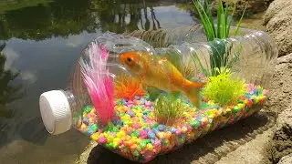 DIY PLASTIC BOTTLE FISH AQUARIUM!