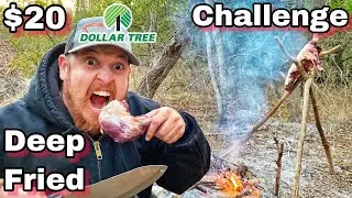 7 Day $20 Dollar Tree Survival Challenge - Day 6 - Deep Fried Mystery Meat!