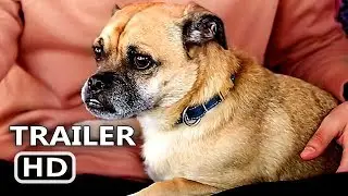 IT'S BRUNO Trailer (2019) Netflix Comedy Series