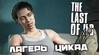 The Last of Us - Лагерь Цикад. Штурмовая винтовка. Охранники. Марлин