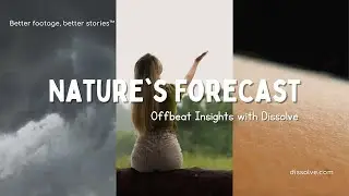 Offbeat Insights: Nature's Forecast