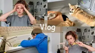 Последствия урагана 🌪️Мои находки! ⭐️У Вани появилась еще одна няня 😂 VLOG
