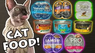 Our Cat Taste Tests Food (Chicken Flavor)!