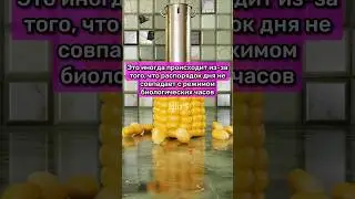 Почему ты просыпаешься ночью без причины 