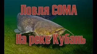 Рыбалка Тлюстенхабль Ловим сома/// Рыбалка на кубани  /// Выпуск № 8