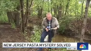 Who Dumped Dozens of Pounds of Pasta in New Jersey? NOODLES MYSTERY SOLVED | NBC New York