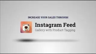 Instagram Feed Gallery with Product Tagging On Shopify eCommerce Store