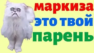 Маркиза это твой жених | Маркиза это твой парень | Приколы | 