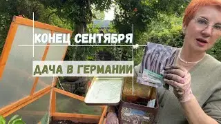 Дача в Германии в конце сентября.