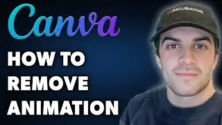 How to Remove Animation in Canva (Full 2024 Guide)