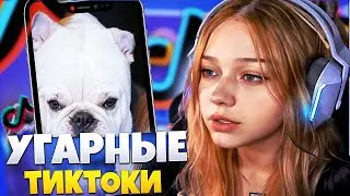 МОРФИ СМОТРИТ УГАРНЫЕ ТИКТОКИ НА ВЕСЁЛОМ ВАЙБЕ  # 31 | Морфи ТИКТОК | Морфи Нарезки