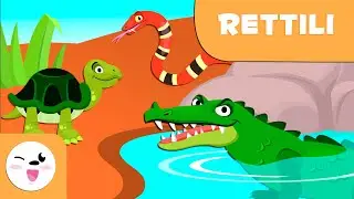 I rettili per bambini - Animali vertebrati - Scienze naturali per bambini