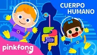 Digestión | Sistema Digestivo | Cuerpo Humano | Pinkfong Canciones Infantiles