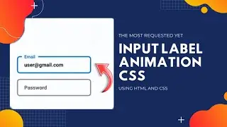 Input Animation with HTML and CSS | Input Label Animation | Codic gyan