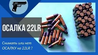 ОСАЛКА 22LR, снимать или нет?