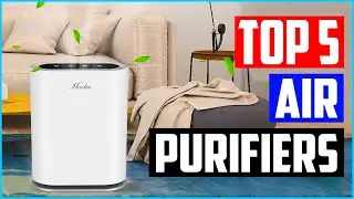 Top 5 Best Air Purifiers in 2022 Reviews