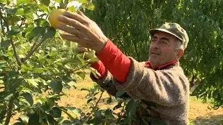 Armenia: A Fruitful Partnership