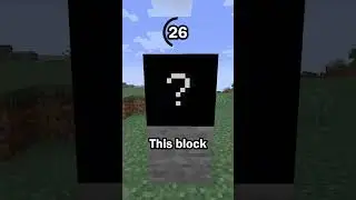 Guess the Minecraft block in 60 seconds 20