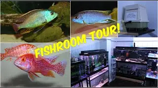 AQUARIUM TOUR DAY