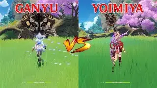 Yoimiya vs Ganyu!! Who is the best? DPS COMPARISON!!