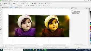Image Tint Color