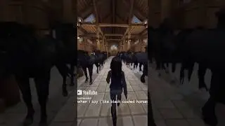 When I say I like black coated horses.. 