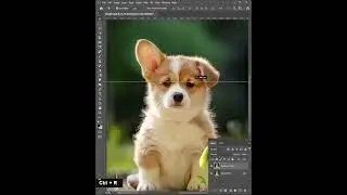 Lay down Ear Fix - Clone Stamp Tool - Photoshop Tutorial #shorts #photoshop