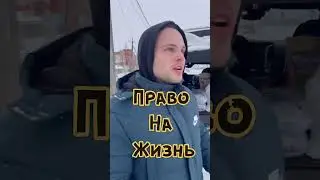 Помогайте братьям нашим меньшим. Конечно по возможности. Кто если не мы. Город Тутаев