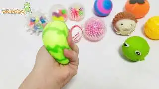 TIMTAM by Okiedog Fidget Toys