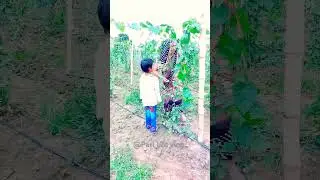 sun kaike angana hamar 😪 #shorts #villagelife #emotional #relatable #awerness #viralvideo #viral