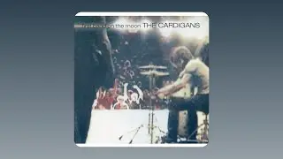 The Cardigans - Lovefool (Audio)