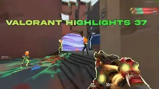 Valorant Highlights 37