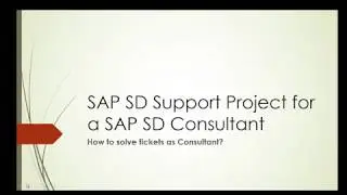 SAP SD Support Project for a SAP SD Consultant