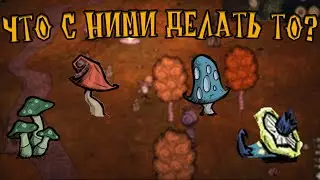 Всё о ГРИБАХ в Don't Starve Together