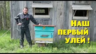 НАЧАЛО ПАСЕКЕ ПОЛОЖЕНО! ПЕРВАЯ ПЧЕЛОСЕМЬЯ ЕСТЬ!