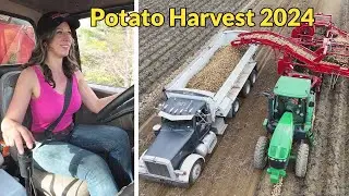 First Day of Potato Harvest 2024