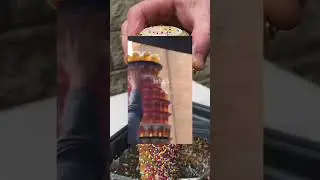 Самые приятные запахи в мире!
