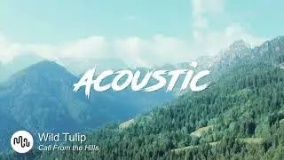 Best Hopeful Acoustic Music for Video [ Wild Tulip - Call From the Hills ]