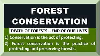 Few Lines on Conservation of Forest in English | 10 Lines on Conservation of Forest