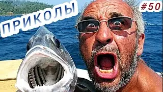 ПРИКОЛЫ  2024 Я РЖАЛ ДО СЛЕЗ 😂 16 Минут ОТБОРНЫХ Русских приколов ИЮНЬ 2024 Смешные видео #50