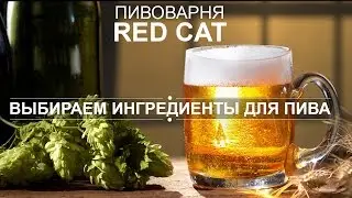 Ингредиенты для пива и сорта, которые мы будем варить