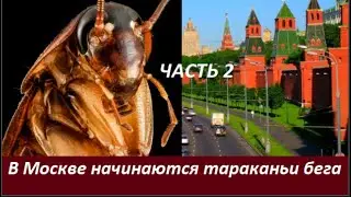 В МОСКВЕ НАЧИНАЮТСЯ ТАРАКАНЬИ БЕГА  № 2513