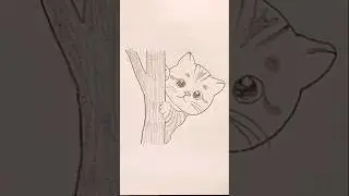 How to draw a cute cat | Drawing a Cat #shorts #drawing #art