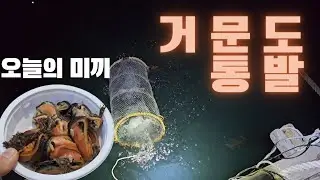 거문도 집앞 빠지에 통발 한번 투척해보았습니다. 섭 미끼엔 뭐가잡힐까요