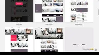 Vidio - Video Manager WordPress theme director youtube Website Builder