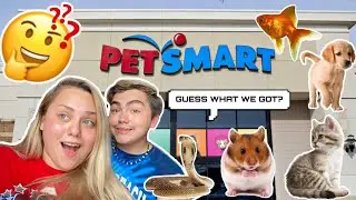 Shopping For a New Pet 🤪 (won’t believe what we got)