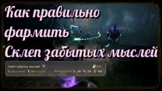 Black Desert / BD: Как правильно фармить Склеп Забытых Мыслей