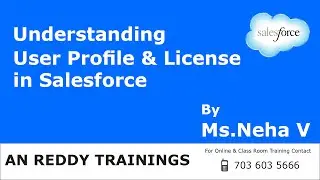 Understanding Salesforce User Profile & License | By Ms.Neha V | AN REDDY TRAININGS