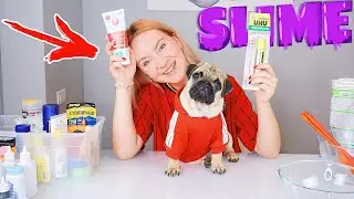 УПРАВЛЯЮ СЛАЙМОМ МАШИ ЗУМ 🐾 СОБАКА УПРАВЛЯЕТ СЛАЙМОМ DOG PICKS MY SLIME INGREDIENTS ЛИЗУН БАКС ЗУМ