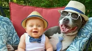 Pit Bull And Baby Compilation